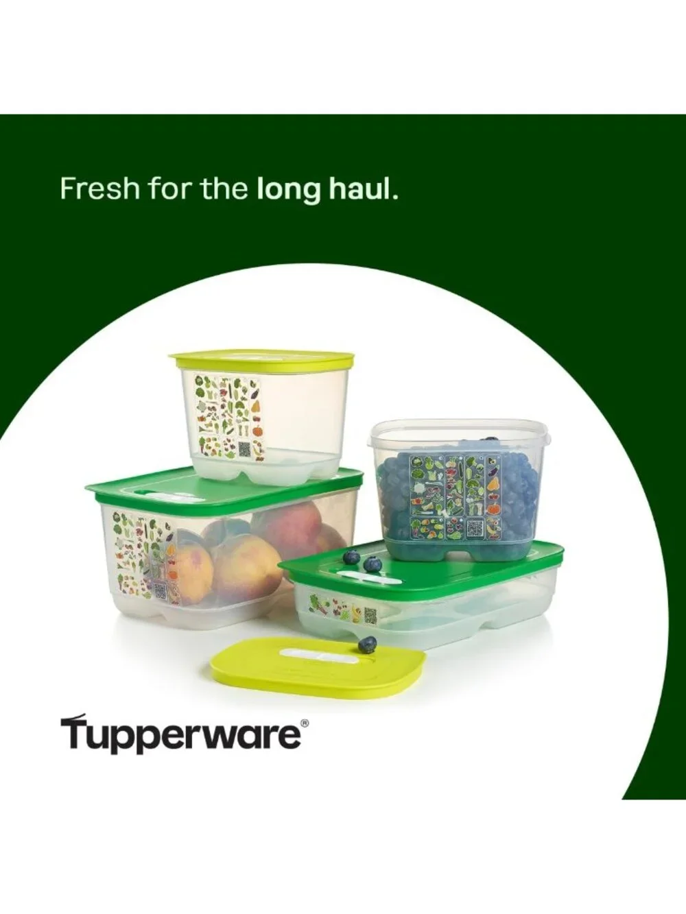 4-Piece BPA-Free Food Storage Container Set, Dishwasher Safe, Fridge